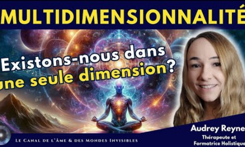 la multidimensionnalité