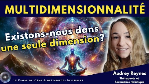 la multidimensionnalité